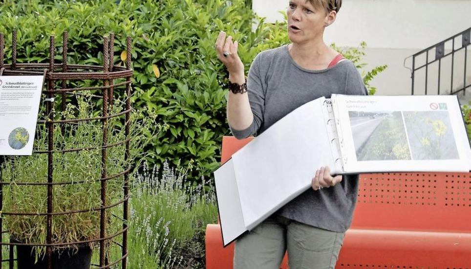Andrea Kaufmann sprach am Mittwoch in Schlatt über Neophyten, die zurzeit vor dem Gemeindehaus ausgestellt sind. Bild: Dieter Ritter