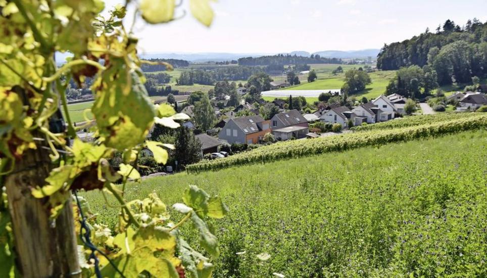 Im Trülliker Quartier Sperdikler sind ab 2022 während sechs Jahren umfangreiche Sanierungsarbeiten am Wasserleitungsnetz vorgesehen. Das letzte Wort dazu haben aber die Einwohner an der Gemeindeversammlung. Bild: ajo