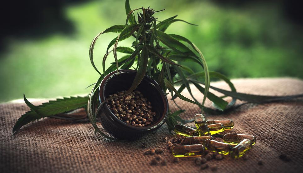 In vielen Produkten enthalten: CBD. Symbolbild: Pixabay