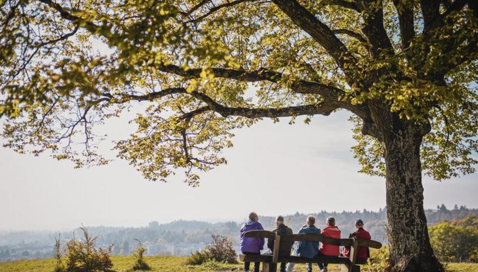Ruhepause auf dem Hohberg: Jede Jahreszeit hat ihre besondere Schönheit und der Herbst ist dabei keine Ausnahme. Bilder: Melanie Duchene