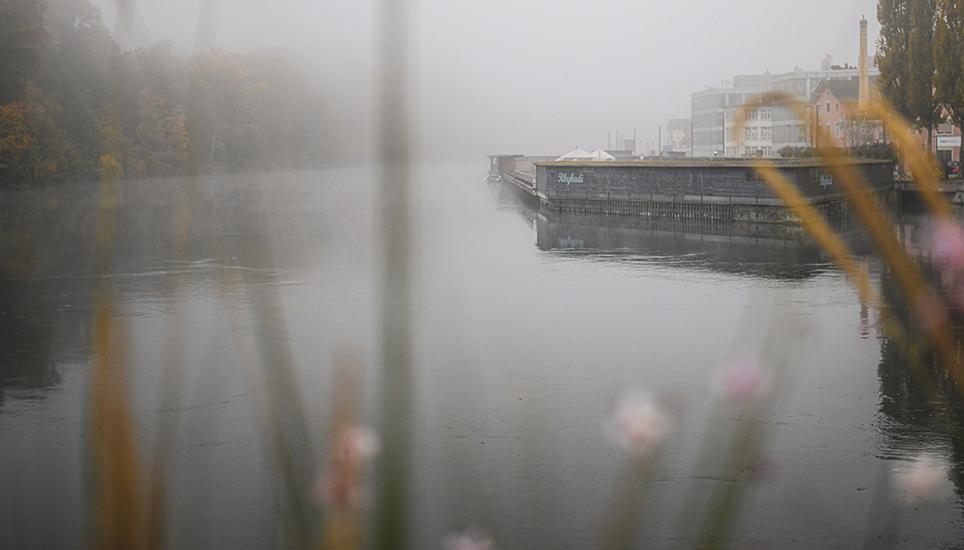 Der Nebel zaubert eine magische Stimmung.