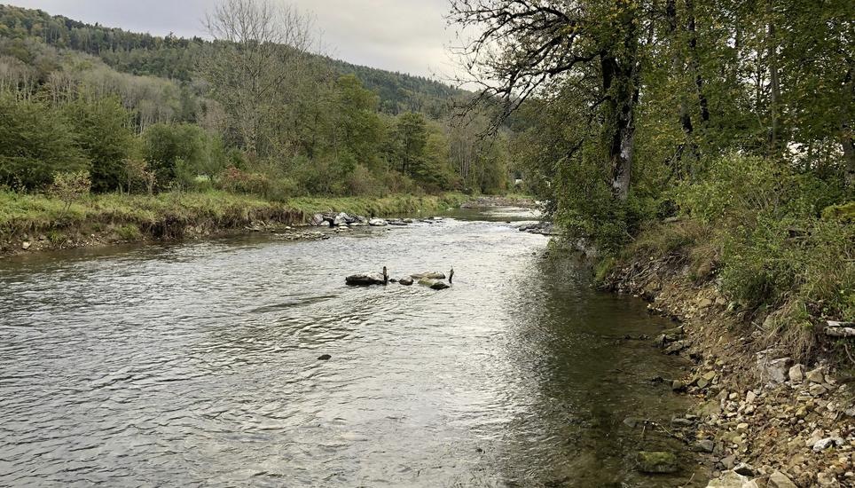 Nach der Revitalisierung fliesst die Wutach wieder nach Lust und Laune. Bild: zvg