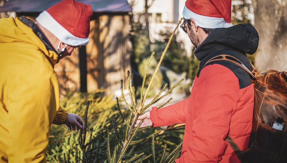 Auch diese beiden Samichläuse liessen es sich nicht nehmen, im Mosergarten nach einem Christbaum Ausschau zu halten. Bild: Melanie Duchene