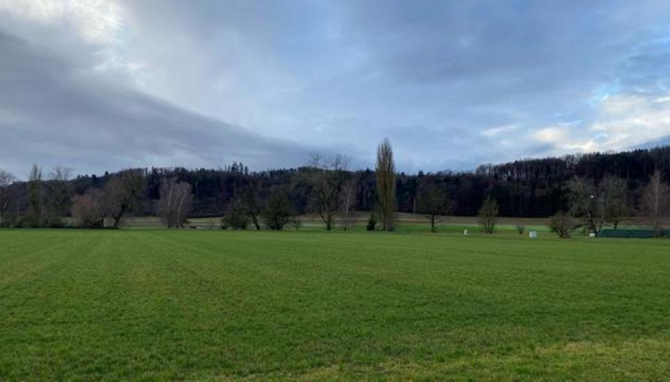 Von Schnee keine Spur – so auch hier, in Ramsen. Bild: Radio Munot
