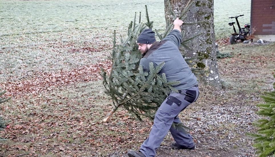 Für das Uhwieser Christbaumwerfen ist eine ausgefeilte Technik nötig. Bild: Roland Müller