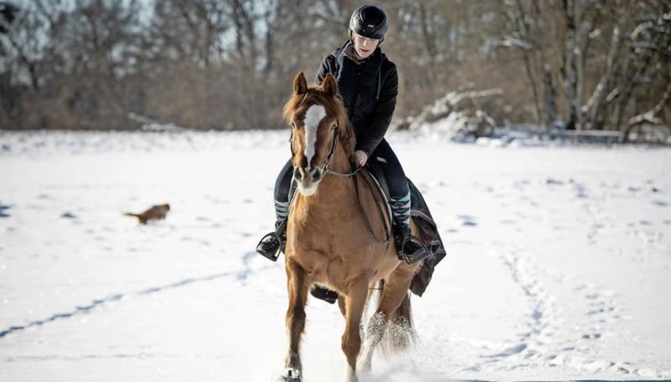 Bei dem traumhaften Wetter, lässt es sich Nives de la Cruz nicht nehmen, einen Ausritt im Schnee zu machen. Dies ganz zur Freude von Hund Myngo, der auch mit darf und sich ordentlich austobt. Bild: Roberta Fele