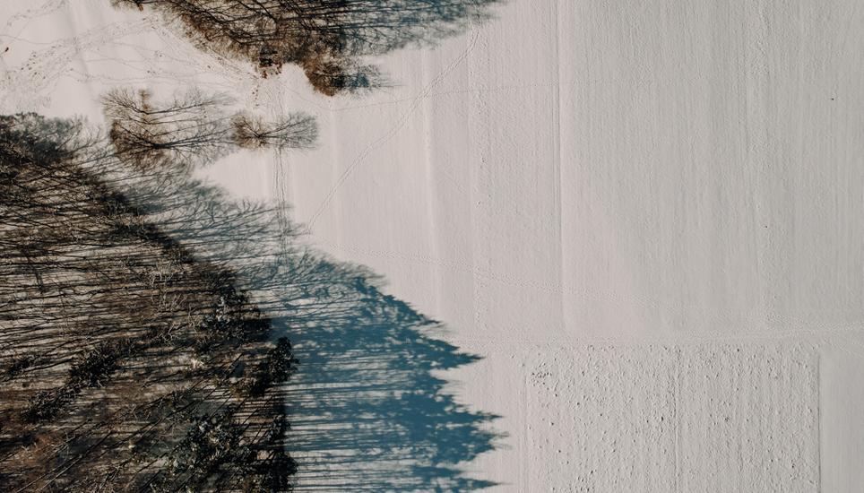 Der schneebedeckte Randen von oben. Bild: Roberta Fele