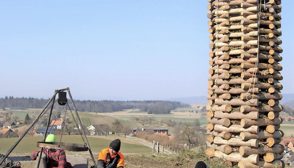 Die Fasni-Buben und -Mädchen haben im Guntalingen das Fasnachtsfeuer aufgebaut. Bilder: Roland Müller