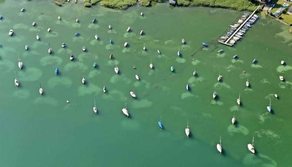 Auf dem Bild sind deutlich die Sedimentabtragungen bei den Pfahlbaufeldern in der Ermatinger Bucht zu sehen, die durch Bojenketten verursacht werden. Bild: zvg