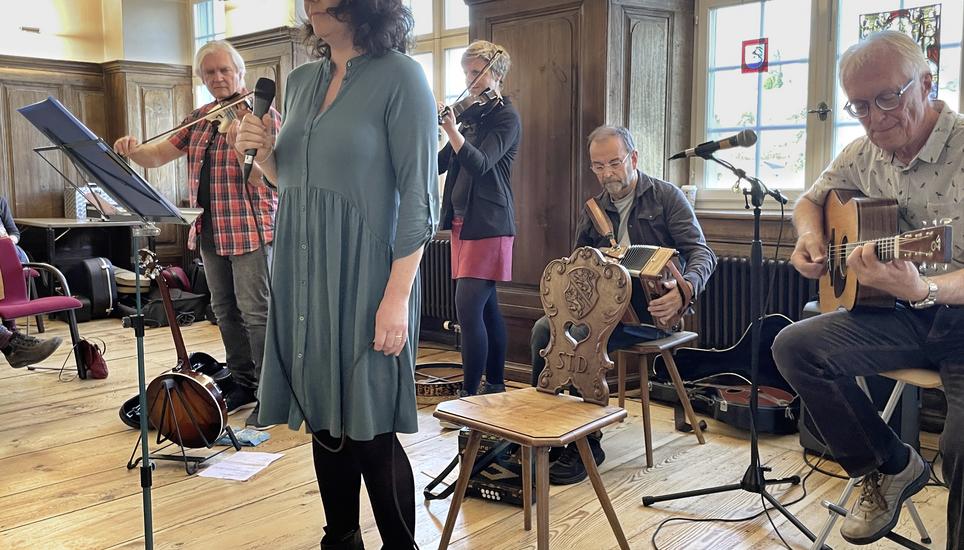 «Tunefisch» spielte irisch/schottische Tunes. Bild: Matthias Zweifel