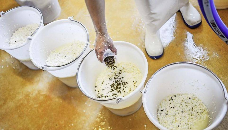 In Handarbeit mischt Judith Germann Pfeffer mit dem Käse. Später entstehen daraus die Henggarter Mutschli.
