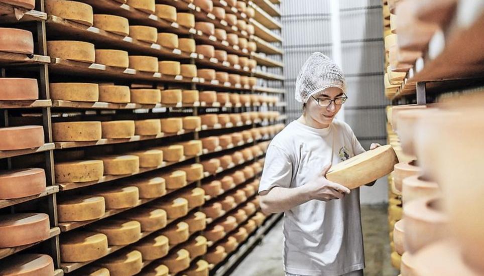 Jeden Tag fertigt die «Wyland Chäsi» bis zu 333 Kilogramm Käse.