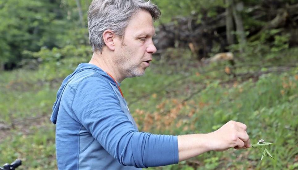 René Bertiller zeigt eine gehäutete Libelle, welche ihren Lebensraum in solchen Feuchtflächen findet. Bild: Roland Müller