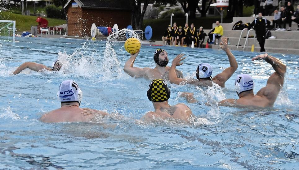 Die Wasserballer aus Schaffhausen gewannen gegen Lugano. Bild: SN-Archiv/zVg