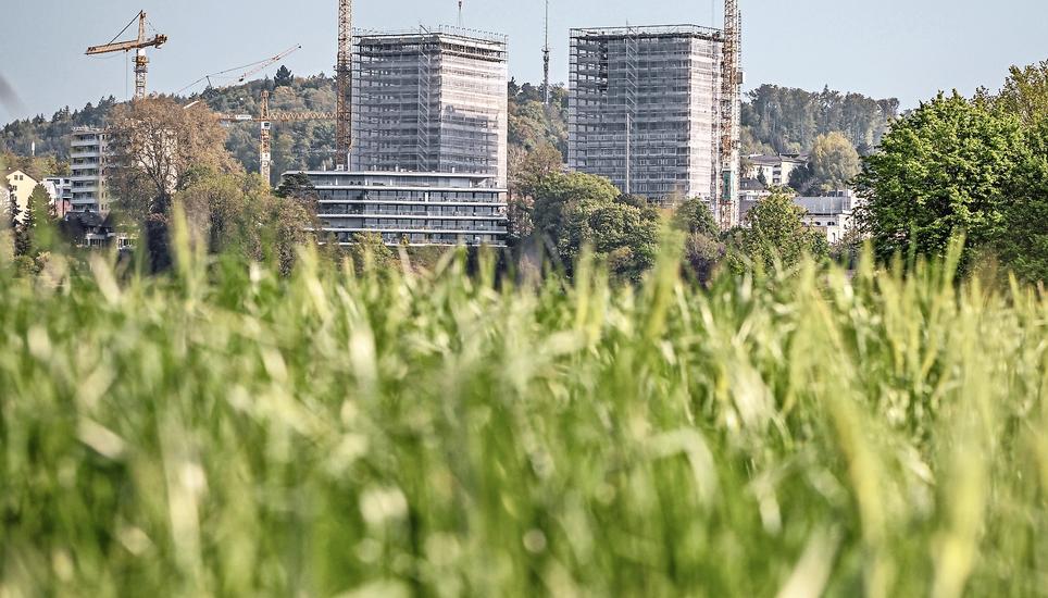 Die entstehenden Rhytech-Türme in Neuhausen. Bild: Melanie Duchene