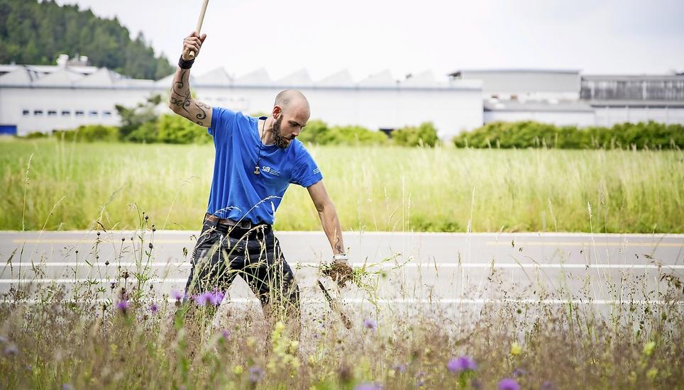 Im vollen Einsatz: Steve Coviello, der Angestellte des Fachverbands für Betriebsunterhalt jätet invasive Pflanzen in Herblingen. Bild: Roberta Fele