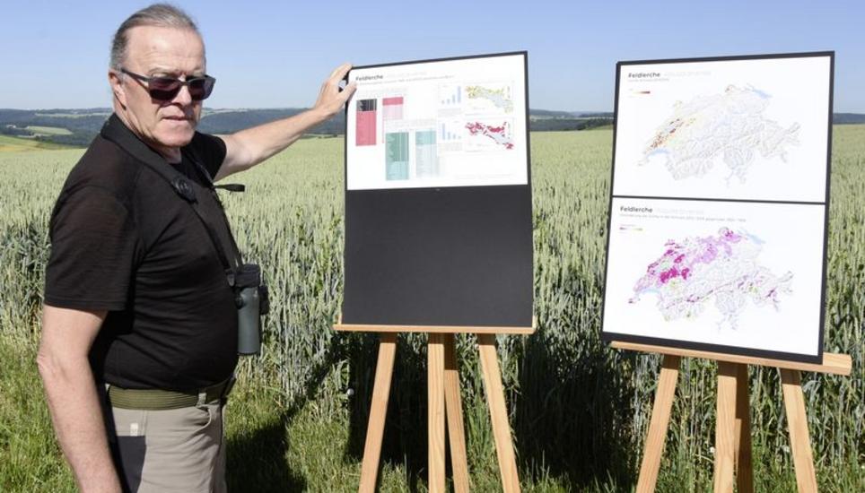 Der Ornithologe Stephan Trösch erklärt den Rückgang des Feldlerchenbestands in den Klettgauer Feldlandschaften. Bild: Lina Schepler