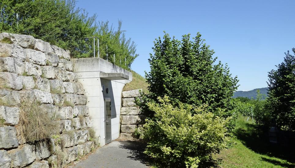 Das Steiner Wasserwerk ist defizitär. Im Bild das Reservoir Erle, das Quellwasser vom Faleberg fasst. Bild: Ursula Junker