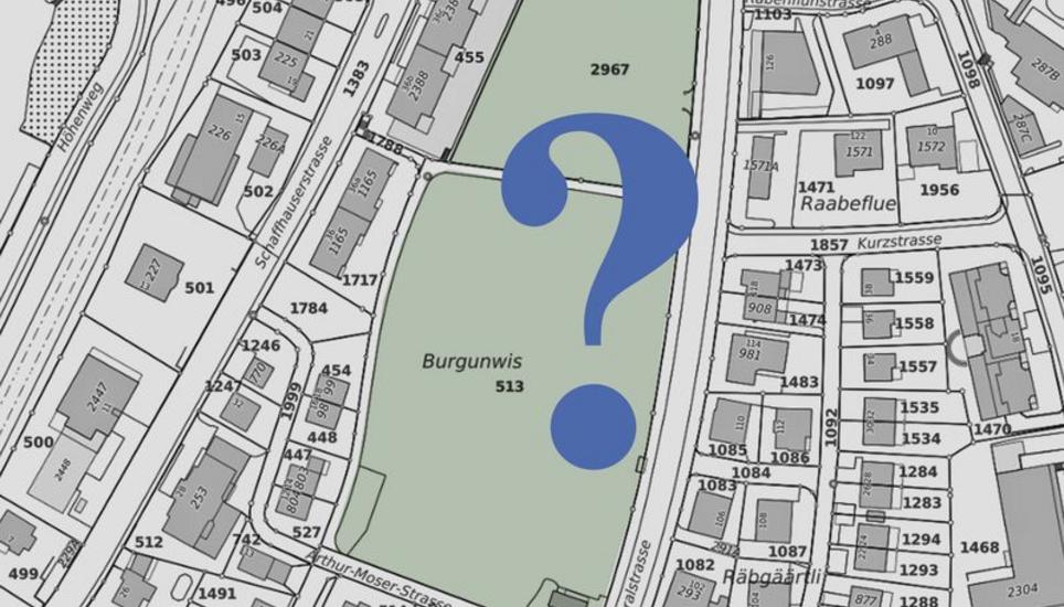 Die Burgunpark- Initianten fordern einen ganzflächigen Park, wollen aber selbst keine Vorgaben dazu machen. Grafik: Geoportal Schaffhausen/SN