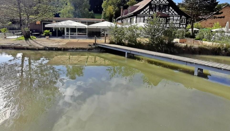 Weiher 2 des Kundelfingerhofs, dahinter der Eventpavillon und das Pächterhaus mit Restaurant. Die Gebäude sollen künftig mit Wasser aus dem Weiher beheizt werden. Bilder: tma
