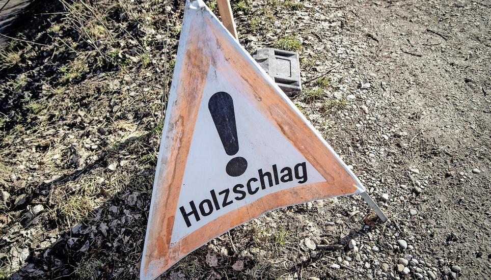 Dem Antrag, den Wald in die Hände des Forstbetriebs Rafzerfeld zu legen, folgte die Versammlung einstimmig. Bild: Roberta Fele