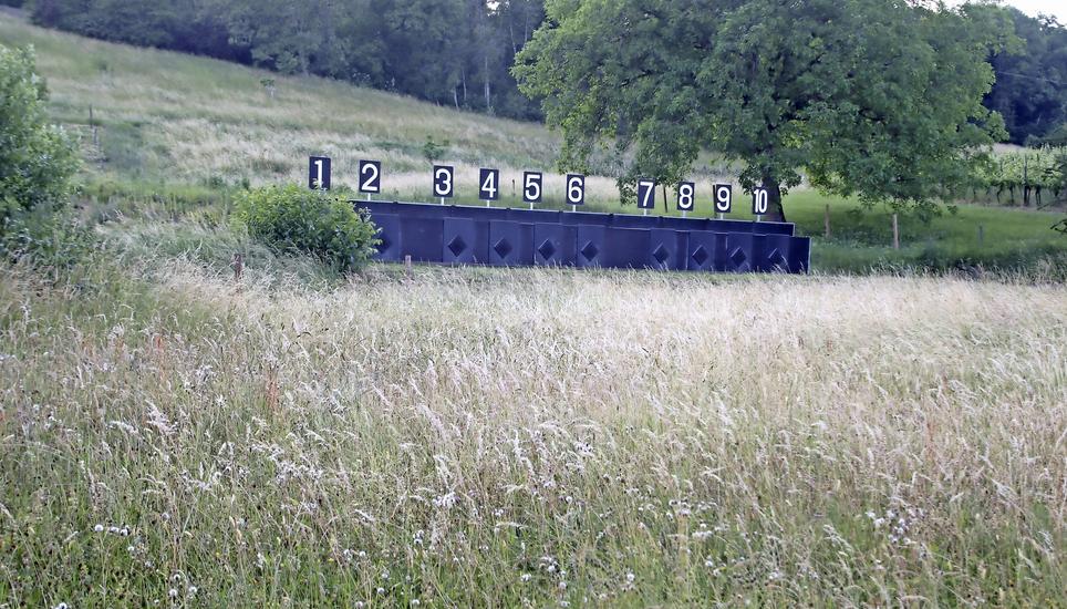 Die Sanierung der Scheibenstände in Hallau kam teurer als erwartet. Bild: Roland Müller