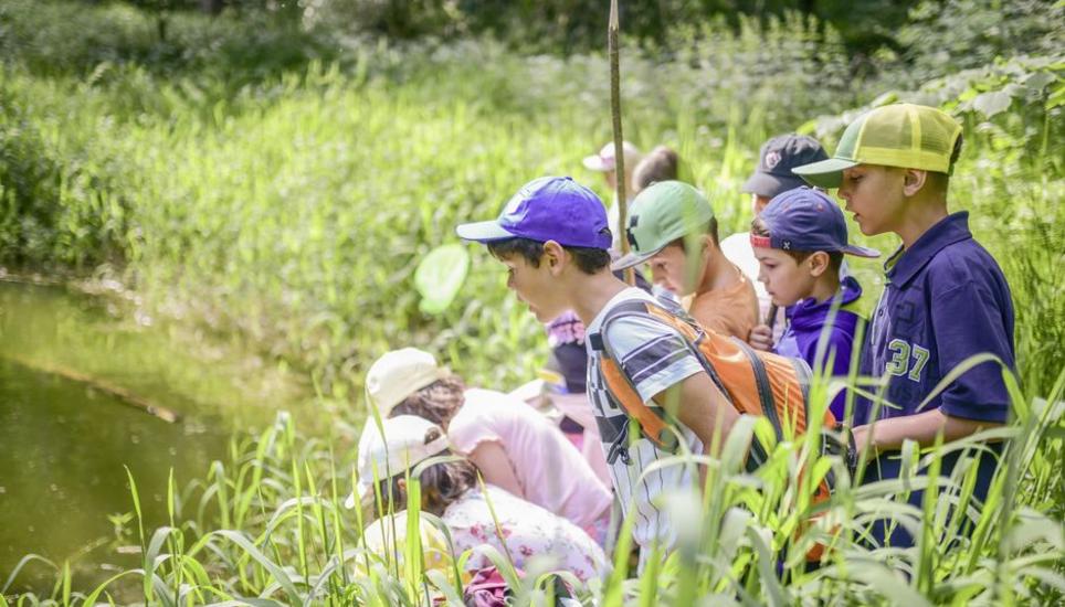 Beim Teich angekommen, schauen die Primarschülerinnen und -schüler gespannt, was dort schwimmt und zwitschert. Bilder: Melanie Duchene