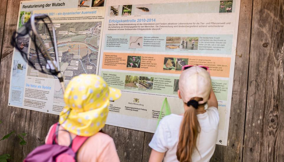 Auf der Infotafel finden die Kinder viele Fakten zum Leben im Wutachtal.