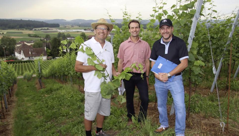 Pflanzenschutzberater Hansueli Graf begleitete Kellermeister Michael Fuchs und Geschäftsführer Philippe Brühlmann (v. l.) nach Benken. BILDER ROLAND MÜLLER