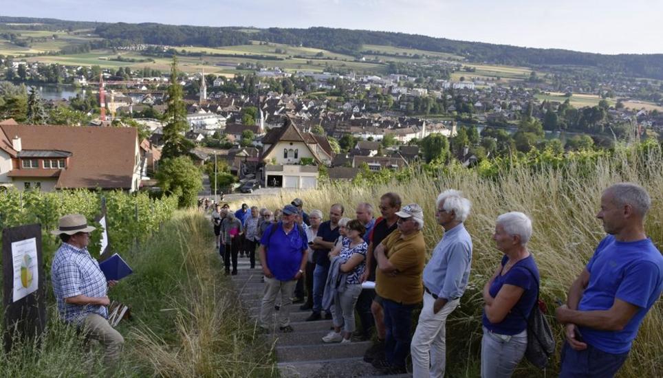 Zahlreiche Besucher lauschten am Mittwochabend bei der Steiner Rebbegehung den Worten des Hallauer Rebschulisten Martin Auer (li.). Bild: Thomas Güntert