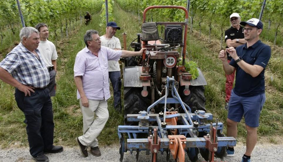 Michael Gölles (rechts) ging bei der Rebbegehung auf den frühen Gescheinsbefall von Botrytis ein. Bild: Thomas Güntert