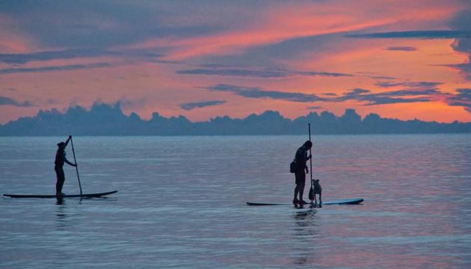 Beim Stand-Up-Paddeln steht der Sportler aufrecht auf einem Stand-Up-Paddle-Board und paddelt mit einem Stechpaddel. Bild: Pixbay