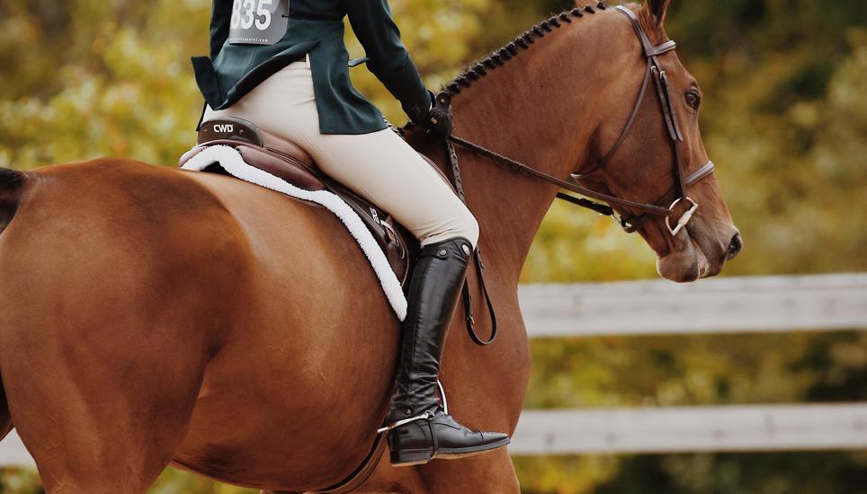 Auf dem Programm steht die letzte Qualifikationsprüfung des OKV-Cup der NOP Pferdeversicherung. An diesem Wettbewerb treten die Vereine in Viererequipen an und reiten um die begehrten Tickets für das Finale. Bild: Pexels