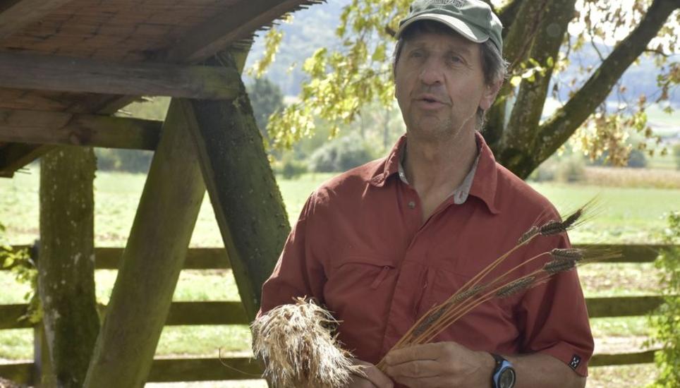 Markus Jenny stellte die alten Getreidesorten Emmer und Einkorn vor. Bild: Thomas Güntert