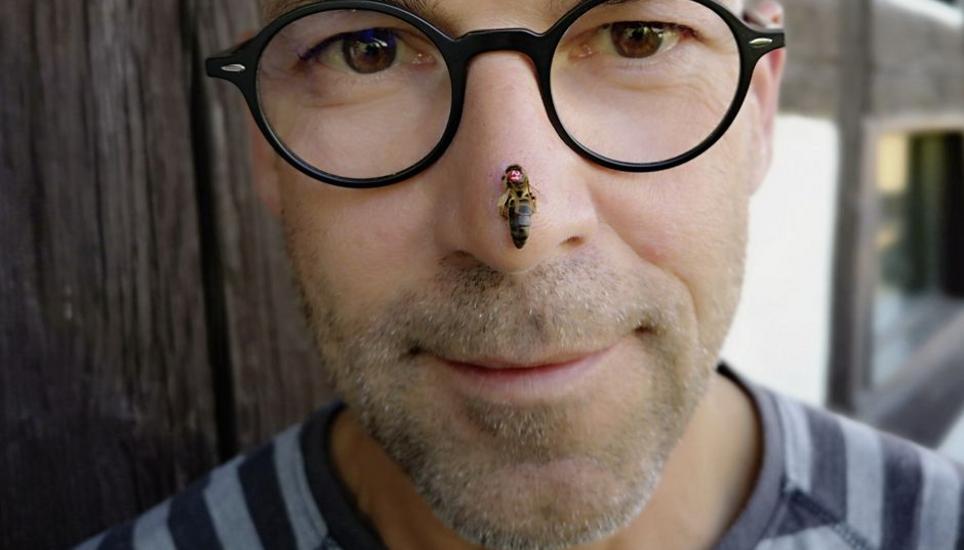 Ganz nahe an den Bienen ohne Schutzkleidung: Niels Michels Bienen sind besonders sanftmütig und stechen äusserst selten. Bild: zVg