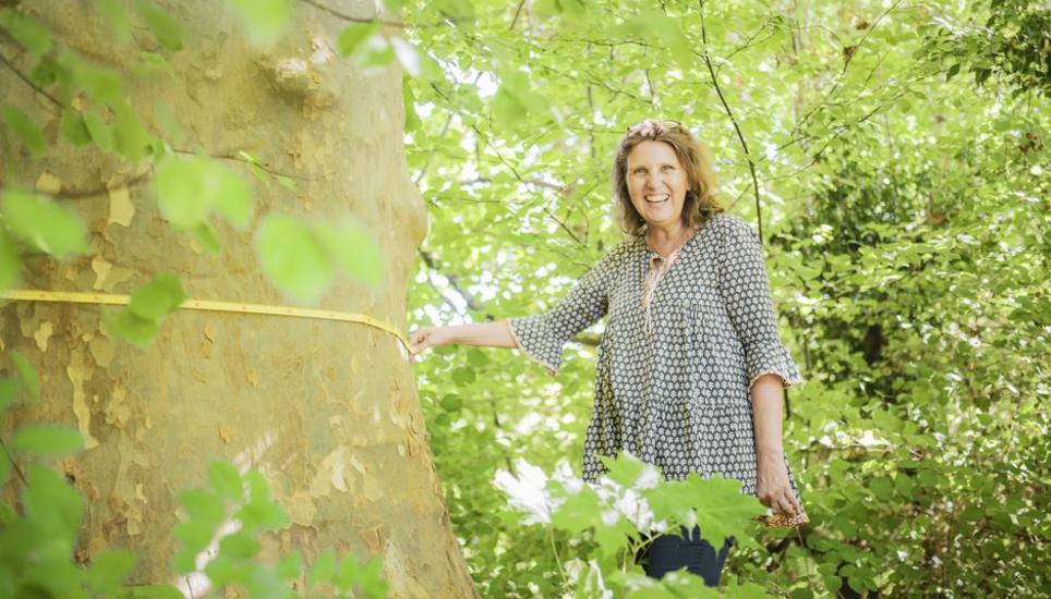 Die Platane von Christine Progin mit sechs Meter Stammumfang wurde wohl in Auftrag des Hoteliers Wegenstein im 19. Jahrhundert gepflanzt. Bild: Melanie Duchene