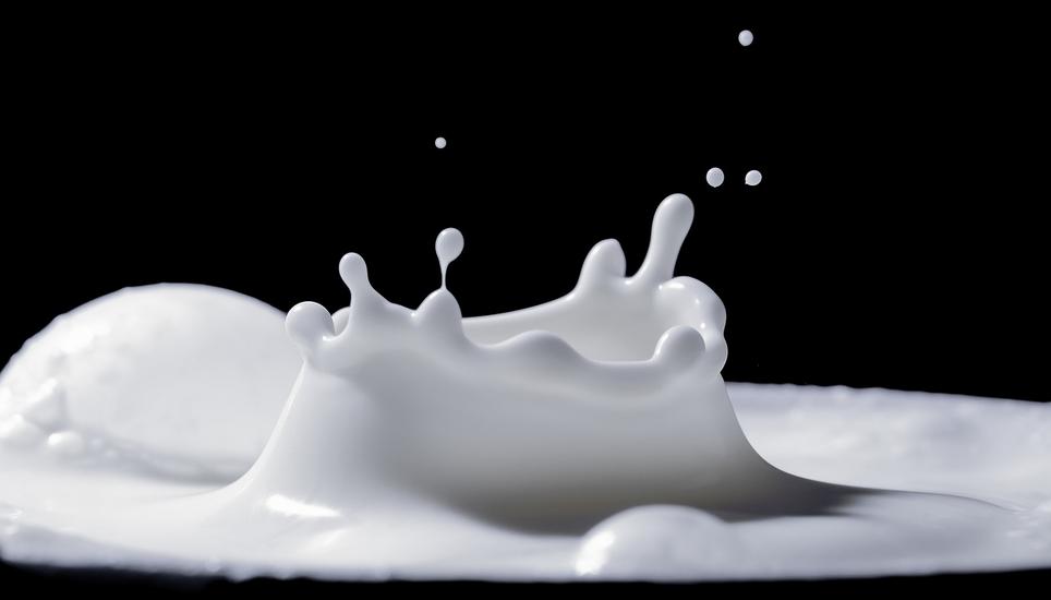 Da ist noch alles in der Rohmilch drin, was gesund macht. Aber wie kriegt man Krankmacher raus? Bild: Pixabay