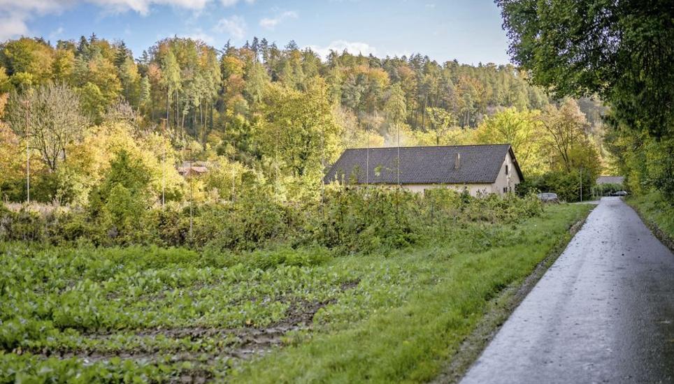 Hier im Grünen soll der Neubau des Sozialen Wohnens entstehen. Eine Kerngruppe von Kritikern verweist auf die Altlasten auf dem Gelände. Bild: Melanie Duchene