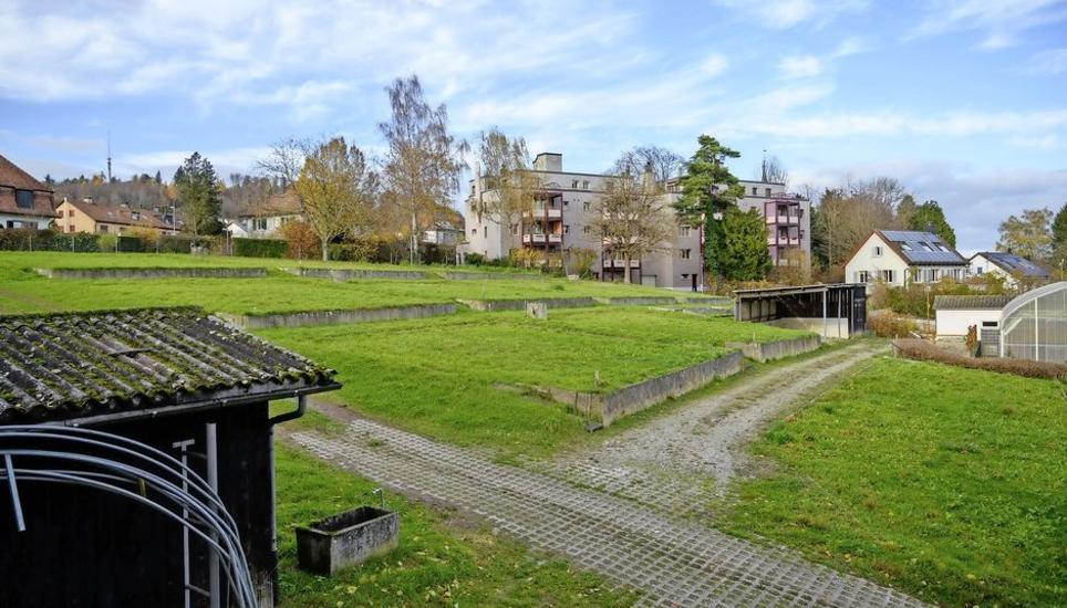 Seit 2022 werden Gebäude der früheren Neuhauser Gemeindegärtnerei als Familientreff genutzt. Nun soll auf dem Areal auch ein Spielplatz entstehen. Bild: Michael Kessler