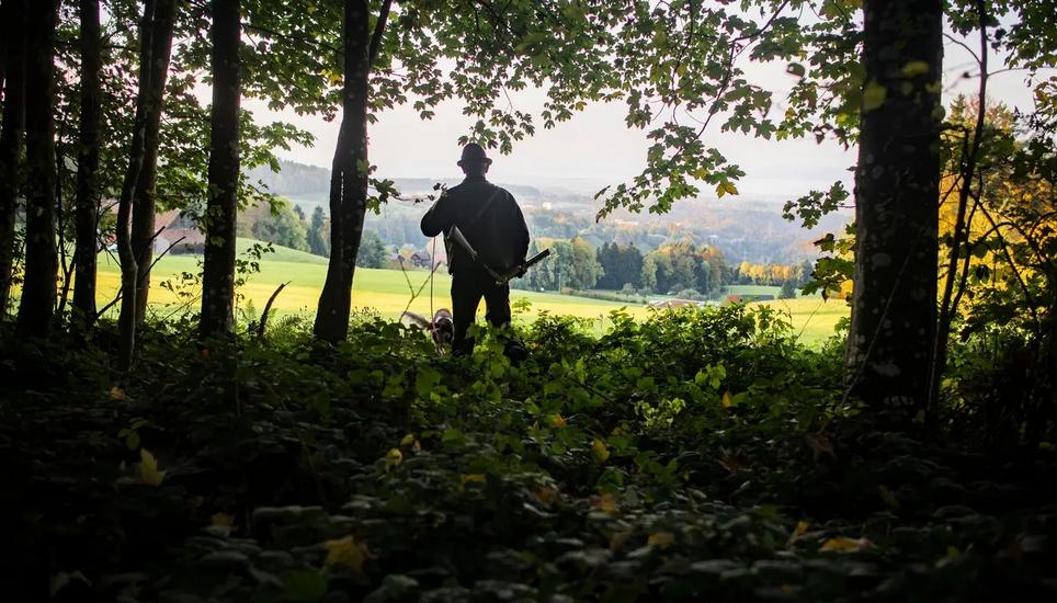 Widerstand von ungewohnter Seite: Eine Gruppe Jägerinnen und Jäger setzt sich für den Wolf ein. Bild: Benjamin Manser