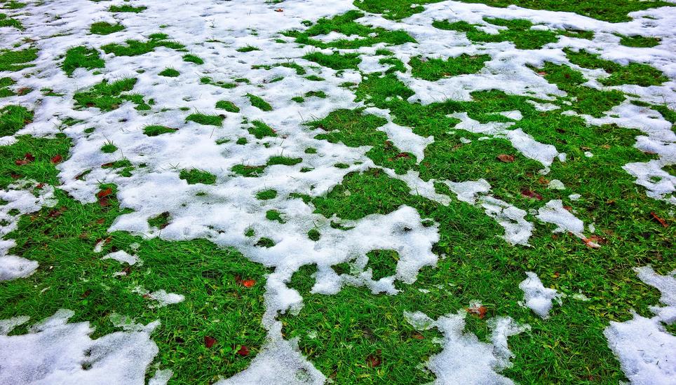Ein seltenes Bild in Schaffhausen: Schnee, wenn es auch nur wenig ist. Bild: Pixabay