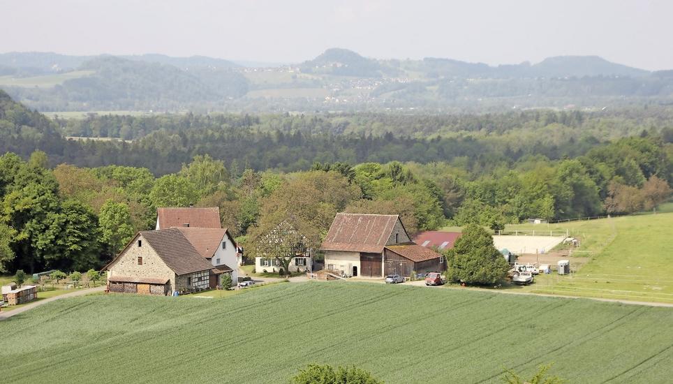 Kleinsiedlung, aber kein Weiler: Der Wäspersbüel beim Kleinandelfinger Ortsteil Alten. Bild: Roland Müller