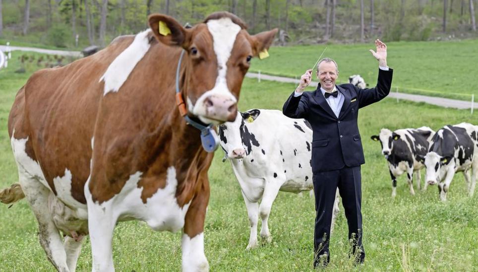 Landwirt und Dirigent aus Leidenschaft: Der Ossinger Andreas «Res» Buri, Präsident des Bauernverbands im Bezirk Andelfingen. Bild: Michael Kessler
