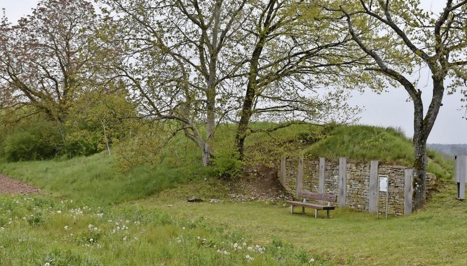 Bei der «Schanz» in Altenburg wurde der Keltenwall bereits auf einem kleinen Stück als Pfostenschlitzmauer mit Querankern rekonstruiert. Bilder: Thomas Güntert