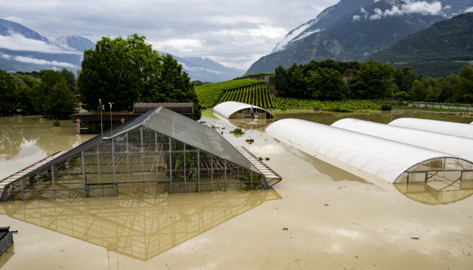 Land unter: In Sierre wurden Gewächshäuser überschwemmt. Bild: Keystone