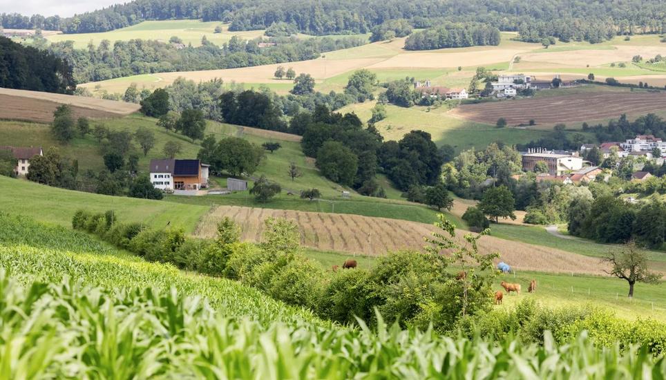 Mehr Naturschutzflächen mit höherer Qualität, die Landwirtschaft stemmt sich dagegen. Bild: Severin Bigler