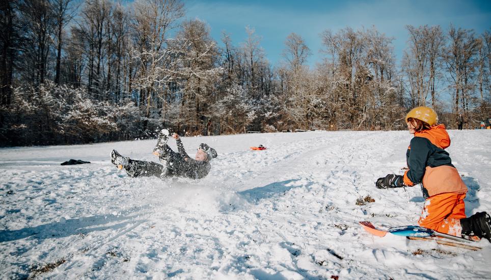 Rodeln auf dem Randen... eine schönere Beschäftigung gibt es fast nicht im Winter, oder? Bild: Roberta Fele Schnee im Kanton, fotografiert am Mittwoch 10. Januar 2024, in Schaffhausen. (Roberta Fele / Schaffhauser Nachrichten)
