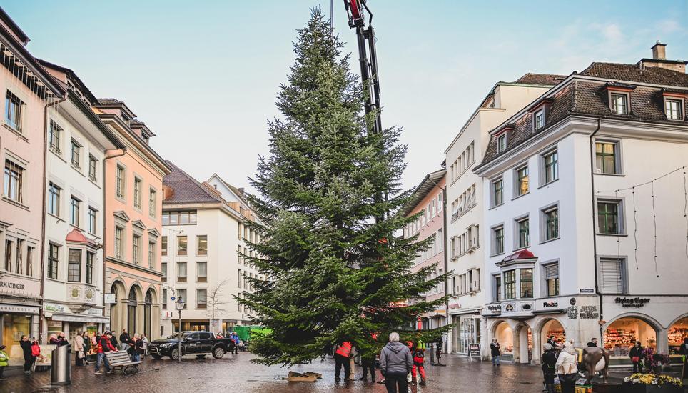 Dieses Jahr steht der Weihnachtsbaum endlich wieder auf dem Fronwagplatz. Bilder: Melanie Duchene