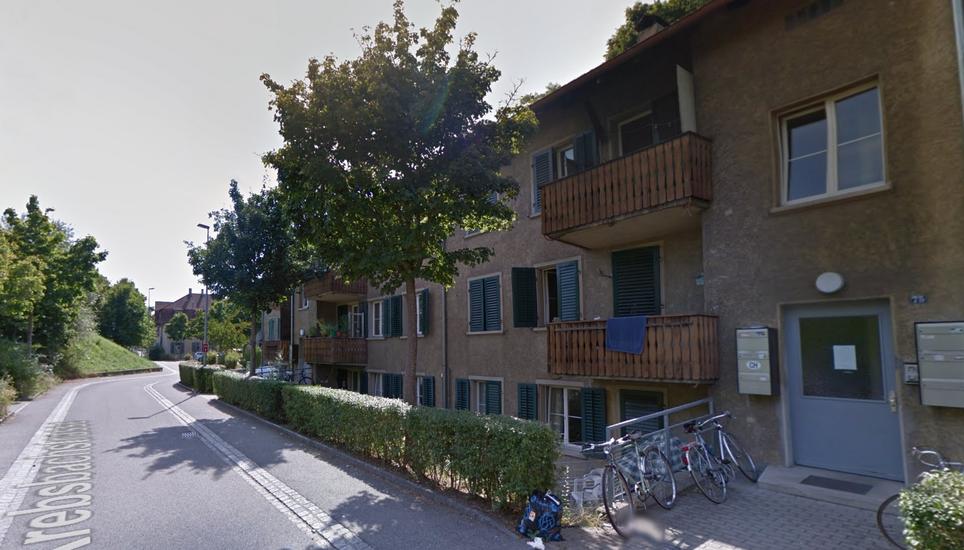Das kantonale Sozialamt hat insgesamt zehn Mietparteien an der Krebsbachstrasse gekündigt. Bild: Google Streetview
