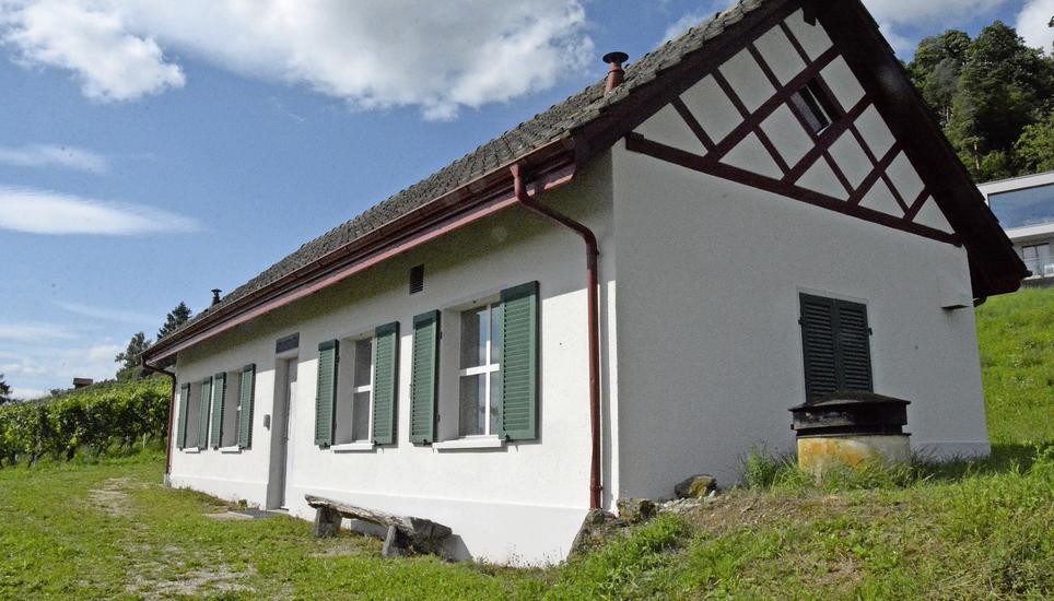 Hier wurde das verunreinigte Trinkwasser nachgewiesen: Das Uhwieser Reservoir Rebberg im Nordosten der Gemeinde am Fusse des Cholfirst-Südhangs. Bild: Alexander Joho